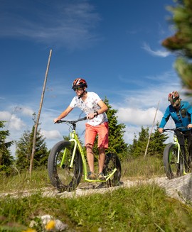 OFF-ROAD SCOOTERS